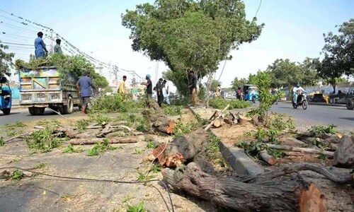 KP, AJK and GB: NA panel concerned over deforestation KP, AJK and GB: NA panel concerned over deforestation