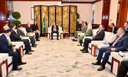 President for exploring Pak-China joint ventures in e-vehicles