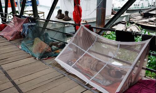 BD sees worst single-day surge in dengue cases and deaths this year