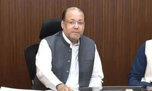 پنجاب میں 3 نئے اسپیشل اکنامک زونز کی منظوری، 26 ہزار ملازمتیں متوقع