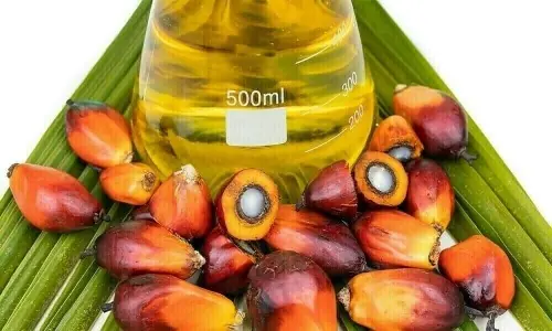 ملائیشیا پاکستان کو پام آئل برآمدات میں اضافے کا خواہشمند