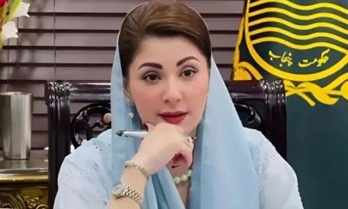 مریم نوازشریف کی سعودی وفد سے ملاقات، تجارتی و سرمایہ کاری تعاون کو نئی رفتار دینے کا عزم