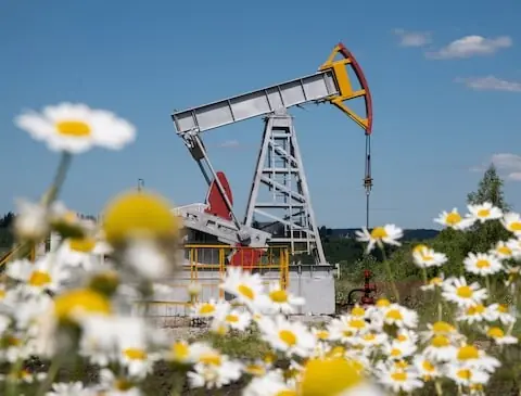 Oil steadies as market weighs excess supply and US-China trade tensions