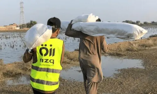 Rizq launches drive to reclaim flood-hit farmlands
