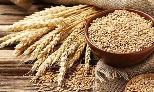 گندم کی ڈی ریگولیشن، دیہی معیشت کی تباہی