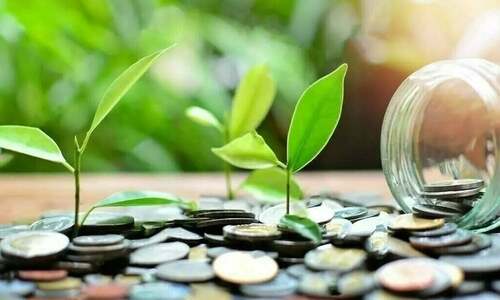 Sustainable finance: promise and pitfalls