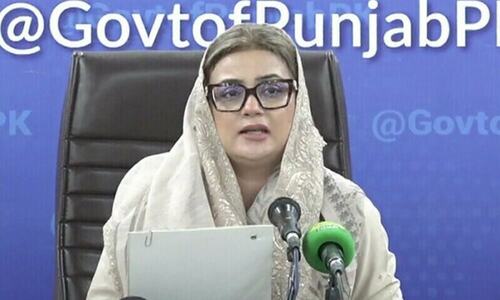 Punjab minister responds to Sharjeel&rsquo;s remarks
