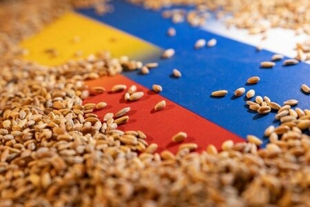 Russian wheat export prices up