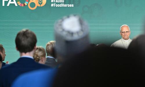 Pope slams &lsquo;collective failure&rsquo; of world hunger affecting millions