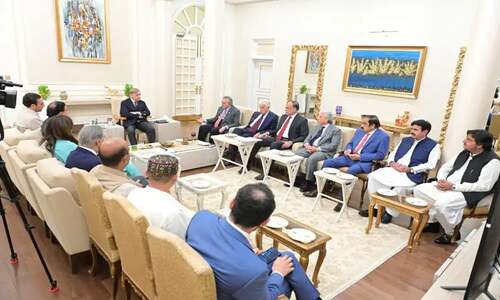 PM pledges to address PPP&rsquo;s Punjab concerns