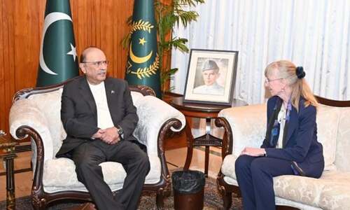 German Ambassador meets President