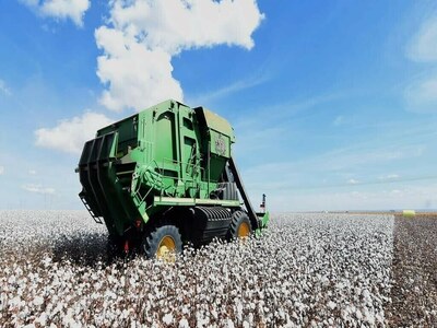 Agri scientists concerned at decline in cotton cultivation