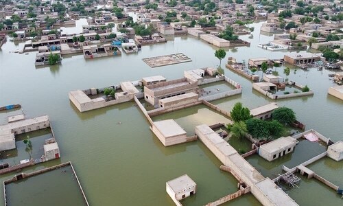 Govt sees a 3.5pc growth even after floods