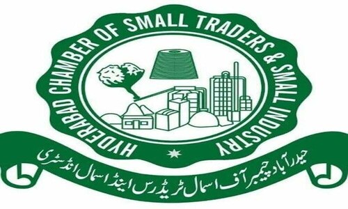 HCSTSI team participates in &lsquo;SME Mentorship Programme&rsquo;