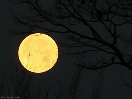 Beaver Supermoon to light up Pakistan&rsquo;s sky today