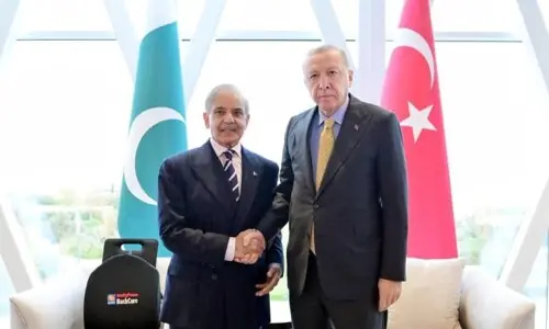 وزیراعظم شہباز شریف اور صدر ایردوان کی ملاقات، دوطرفہ تعلقات پر تبادلہ خیال