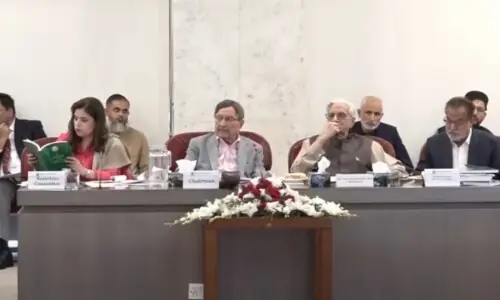 Joint parliamentary committee &lsquo;approves&rsquo; amendments to Article 243