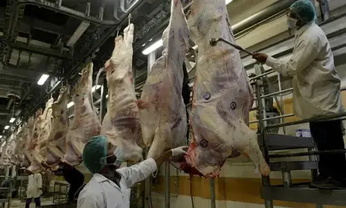 ملائیشیا کو گوشت کی برآمدات 200 ملین ڈالر تک بڑھانے کی کوششیں تیز
