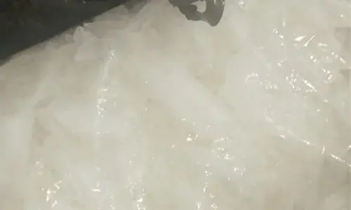 پشاور: کسٹمز نے 9 کروڑ سے زائد کی آئس اسمگلنگ ناکام بنا دی