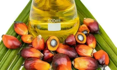 Palm opens lower on weaker Dalian palm olein, crude oil