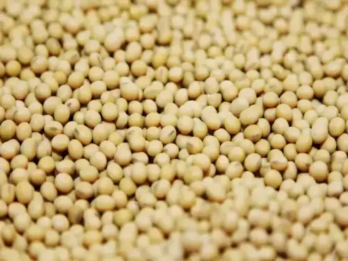 Soybeans, wheat, corn eye weekly gains ahead of US crop report