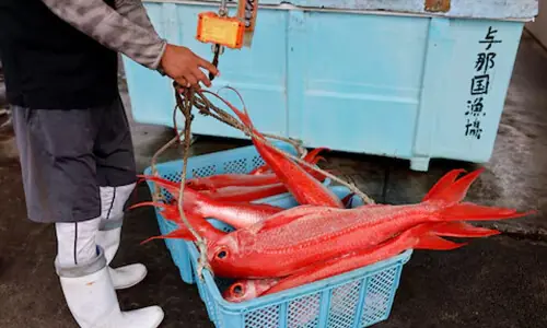 China to suspend imports of Japanese seafood amid diplomatic dispute, media reports China to suspend imports of Japanese seafood amid diplomatic dispute, media reports