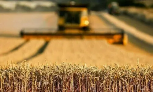 Agri-food exporters urge govt to scrap taxes, slash restrictions Agri-food exporters urge govt to scrap taxes, slash restrictions