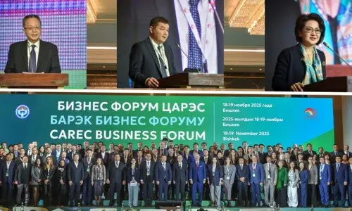 Digital overhaul needed to tackle Pakistan&rsquo;s $36bn logistics deficit: CAREC forum