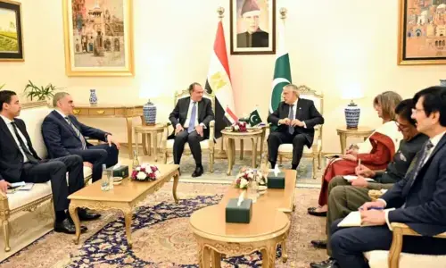 پاکستان اور مصر کا تجارت و سرمایہ کاری سمیت مختلف شعبوں میں تعلقات مزید مضبوط بنانے کا عزم