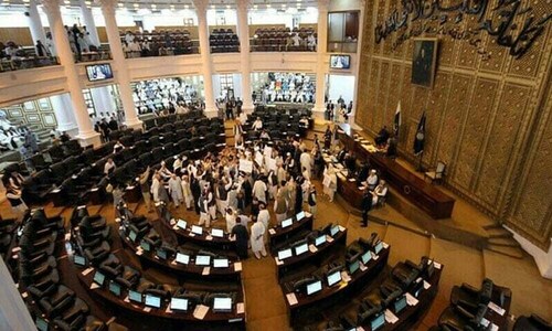 Chiefs of Senate bodies, deputy chairman: Govt asked to permit issuance of diplomatic passports