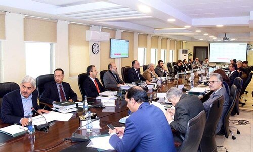 ECC poised to decide key economic agenda today
