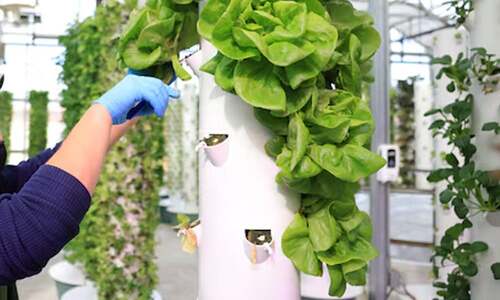 Why is food innovation a strategic necessity for Pakistan?