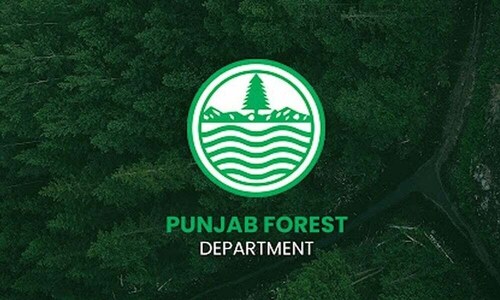 10,000 saplings planted in one day in Lahore&rsquo;s Karol area