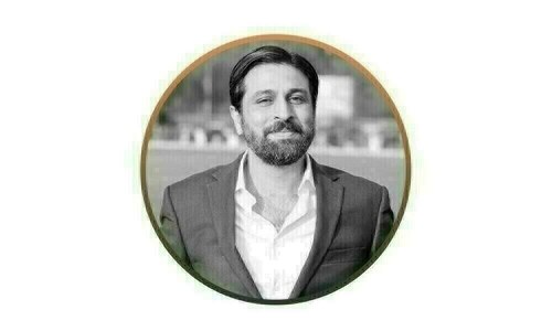 Opinion: Masterclass in market bubbles