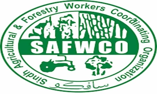 SAFWCO distributes Rs90m matching grant cheques to strengthen SMEs