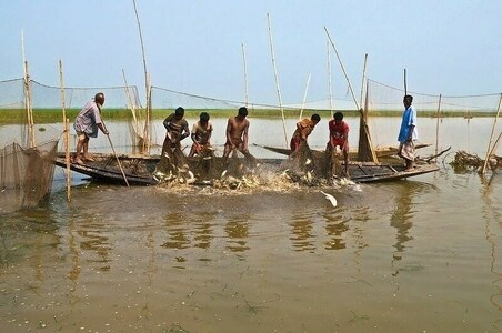 World Fisheries Day: country&rsquo;s marine fisheries sector faces ecological and economic crisis