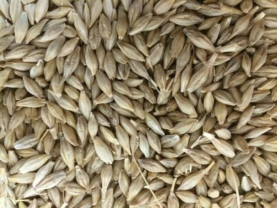 Europe&rsquo;s barley prices climb as buyers chase supply