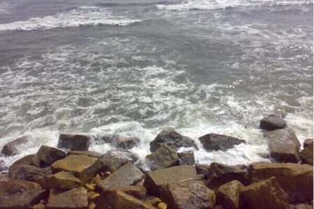 WWF-Pakistan refutes claims linking sea sparkle to pollution