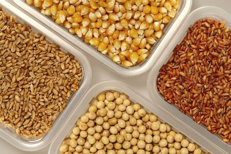 Lahore Grain Market Rates