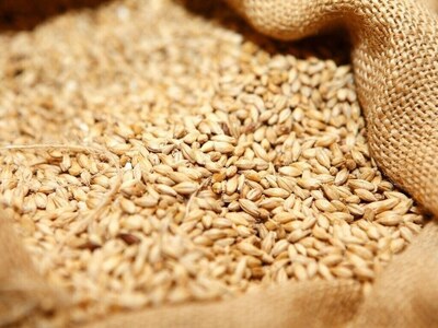 Use of certified wheat seed up by more than 2pc