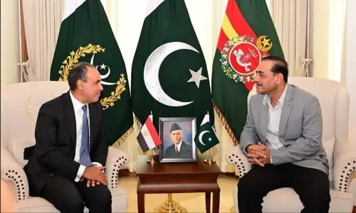 Field Marshal Munir, Egyptian foreign minister review defence, security cooperation