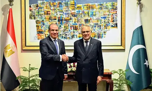 حکومت کا مصر کے ساتھ 250 پاکستانی بزنس ہاؤسز کی فہرست شیئر کرنے کا فیصلہ
