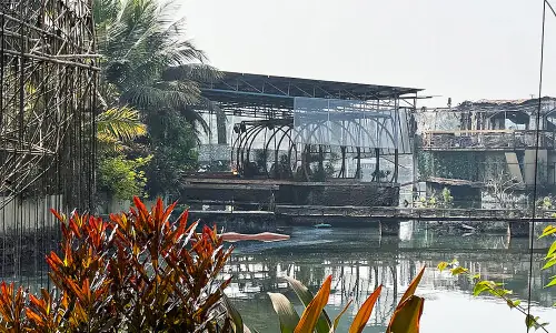 India&rsquo;s Goa state orders probe after nightclub fire kills 25