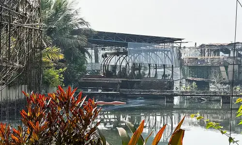 گوا، نائٹ کلب میں آگ لگنے سے 25 افراد ہلاک، تحقیقات کے احکامات جاری