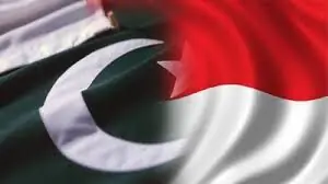 &lsquo;A new horizon for Pakistan&ndash;Indonesia relations&rsquo;