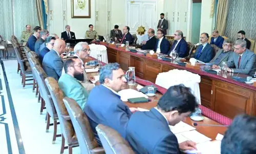 وزیر اعظم نے بجلی کی تقسیم اور پیدا کرنے والی کمپنیوں کی نجکاری کا عمل تیز کرنے کی ہدایت کر دی