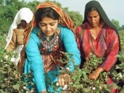 Invisible hands and visible inequality in Pakistan&rsquo;s agriculture