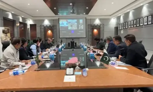 کشمیر میں بین الاقوامی اور پی ایس ایل میچز منعقد کرانے کی کوشش کررہے ہیں، محسن نقوی