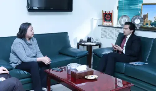 Gas sector reforms: Pakistan govt, World Bank discuss roadmap