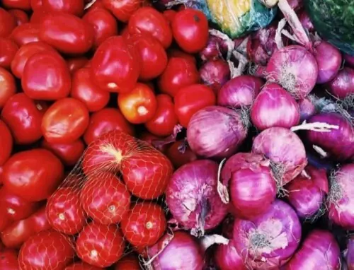 Punjab plans off-season tomato, onion cultivation